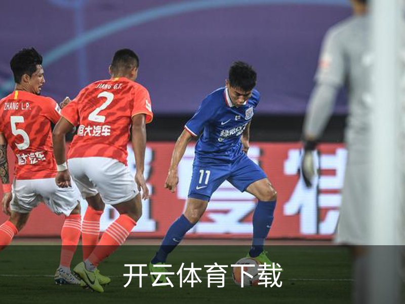 开云体育下载概况